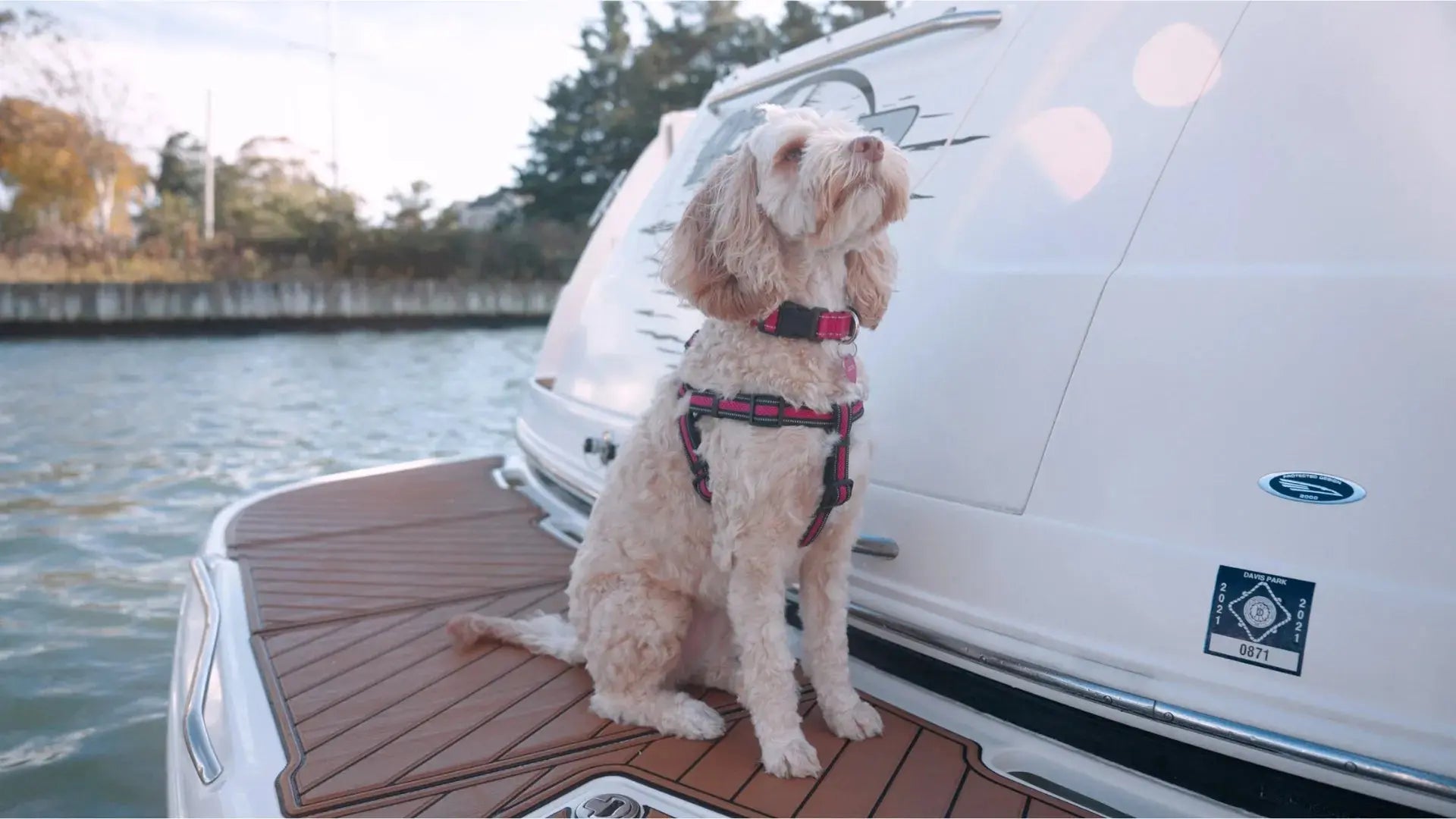 BoatFloorings' wood-patterned brown EVA foam boat flooring on white boat with dog